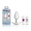 Silver Anchor Buttplug Kit - Clear Iridescent/Pink